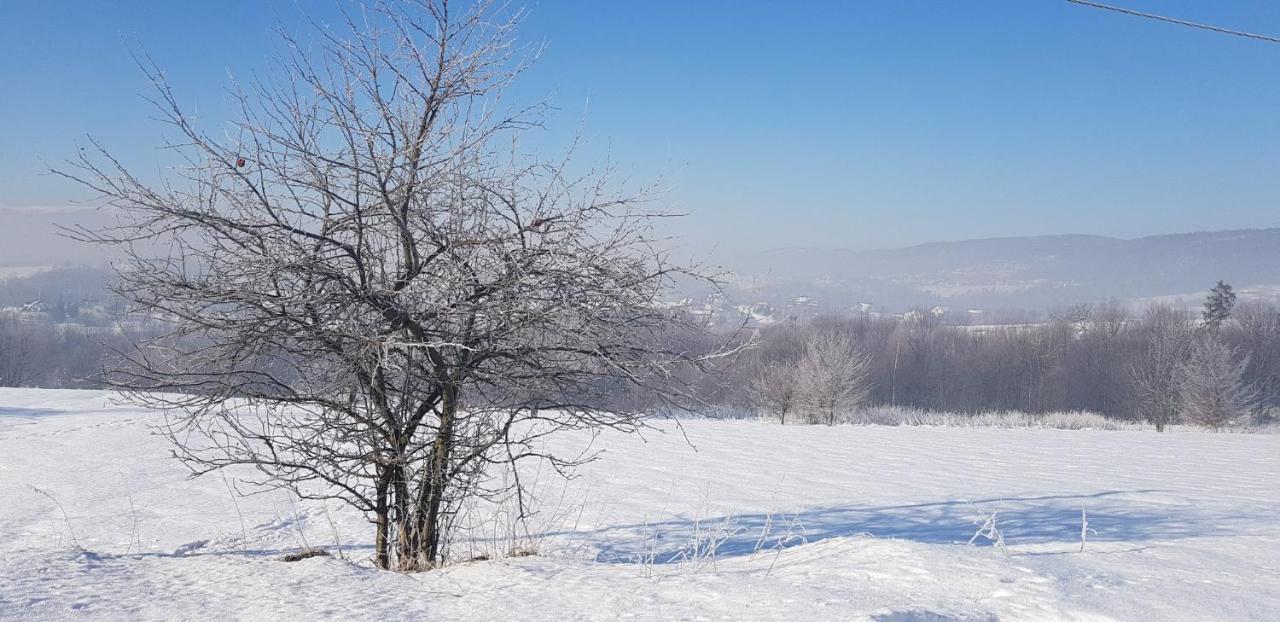Dom Grabowa Z Sauna I Podgrzewanym Basenem Gilowice  Exterior photo